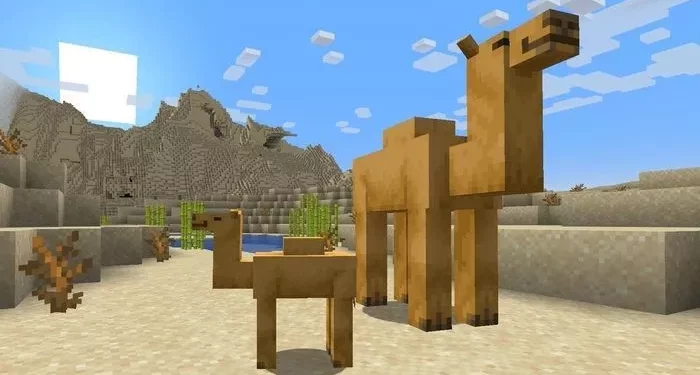 Cara Beternak Unta di Minecraft 1.20 dengan Cepat dan Mudah