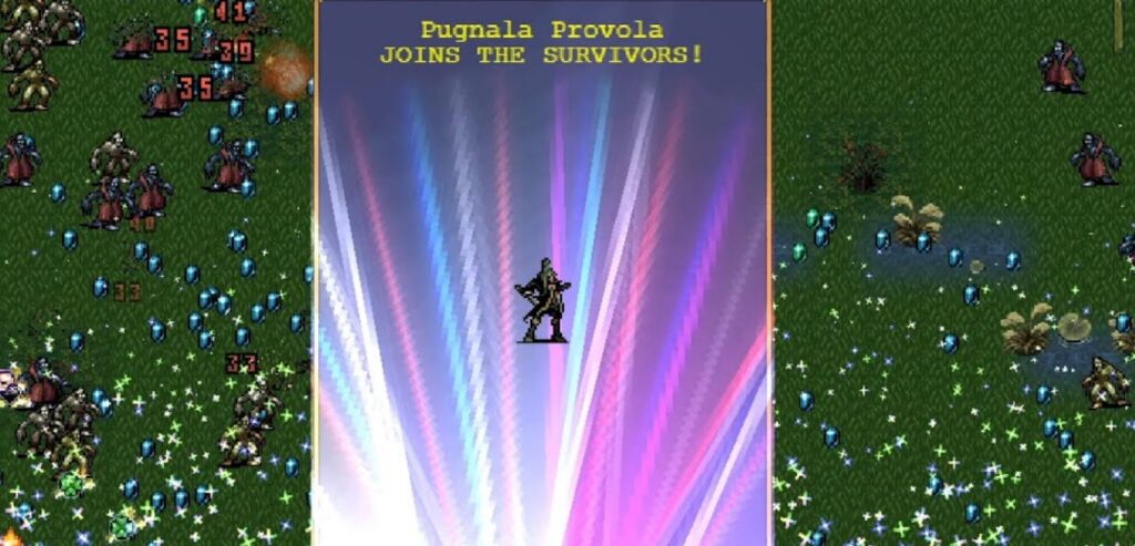 Pugnala Provola Guide