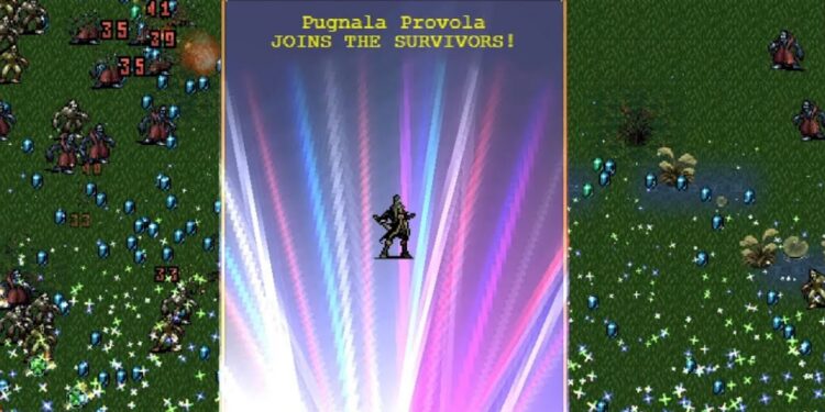 Pugnala Provola Guide