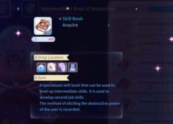 Ragnarok V Skill Books