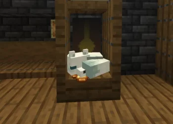 Seorang Pemain Minecraft Temukan Rubah di Tempat yang Sangat Tidak Terduga!