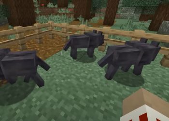 Wolf Minecraft