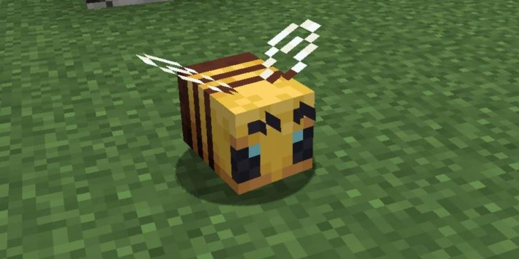 Minecraft Bee Guide, Cara Mendapatkan Madu dan Menghindari Serangan!