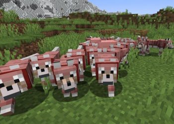 Minecraft 1.20.5