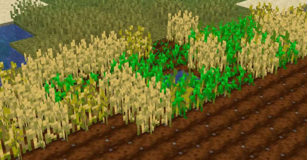 Farming di Minecraft 1.21, Tips Paling Baru 2024!