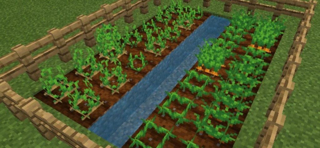 Farming di Minecraft 1.21, Tips Paling Baru 2024!