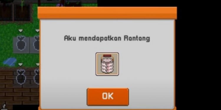 Citampi Stories Guide Cara Membuat Rantang