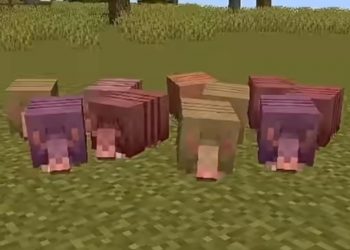 Cara Buat Tempat Farming Armadillo di Minecraft