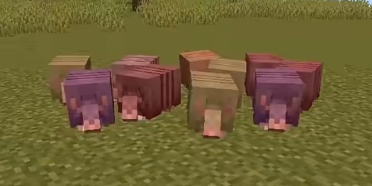 Cara Buat Tempat Farming Armadillo di Minecraft