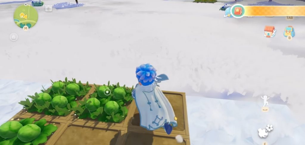 15 Aktivitas Harian Heartopia yang Wajib Dilakukan Pemain