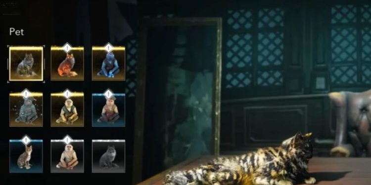 Semua Pet di Assassin's Creed Black Flag Resynced dan Cara Mendapatkannya!
