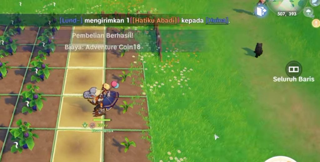 Penjelasan Sistem Home di Ragnarok The New World Guide